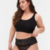 Zizzi Lace Briefs 2-pack -Chic Soldes L00012B 0199 ModelFront
