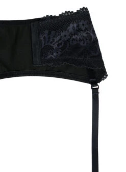 Shiny Garter Belt With Lace -Chic Soldes L00535F 0199 Details2