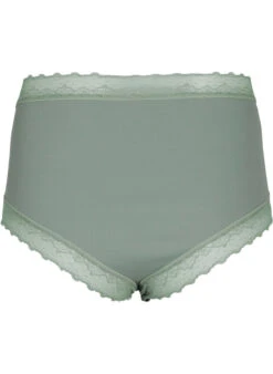 High Waisted Hipster Brief With Lace -Chic Soldes L00552B 0907 Back