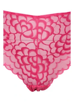 Hipster Briefs In Lace Fabric -Chic Soldes L00602E 0865 Details1