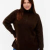 Zizzi Knitted Sweater With Zipper